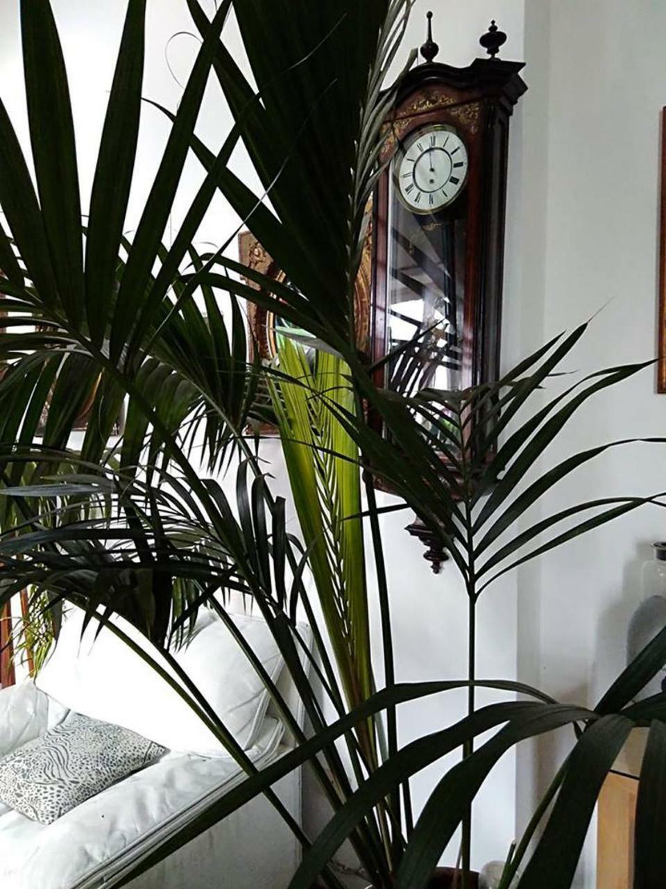 Il Camaleonte Villa Брачано Екстериор снимка